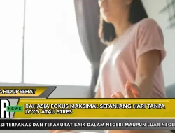 Rahasia Fokus Maksimal Sepanjang Hari Tanpa Loyo atau Stres