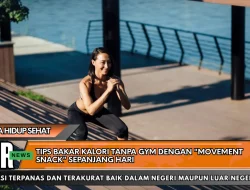 Tips Bakar Kalori Tanpa Gym dengan “Movement Snack” Sepanjang Hari