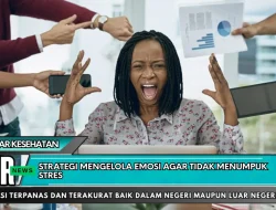 Strategi Mengelola Emosi agar Tidak Menumpuk Stres