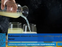 Kebiasaan Minum Air Lemon Hangat Setiap Pagi Secara Benar