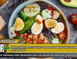 Snack Pintar 2026 yang Aman Dimakan Saat Lapar Mendadak
