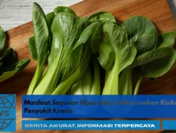 Manfaat Sayuran Hijau dalam Menurunkan Risiko Penyakit Kronis