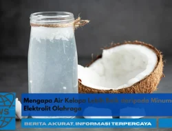 Mengapa Air Kelapa Lebih Baik daripada Minuman Elektrolit Olahraga