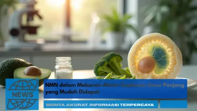 NMN dalam Makanan Alami: Suplemen Umur Panjang yang Mudah Didapat