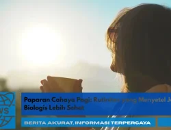 Paparan Cahaya Pagi: Rutinitas yang Menyetel Jam Biologis Lebih Sehat