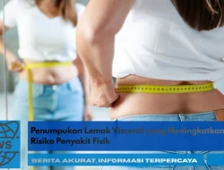 Penumpukan Lemak Visceral yang Meningkatkan Risiko Penyakit Fisik