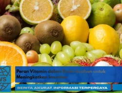 Peran Vitamin dalam Buah-buahan untuk Meningkatkan Imunitas