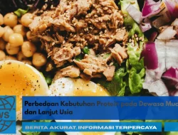 Perbedaan Kebutuhan Protein pada Dewasa Muda dan Lanjut Usia