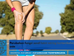 Perubahan Fungsi Sendi Lutut Seiring Bertambahnya Usia