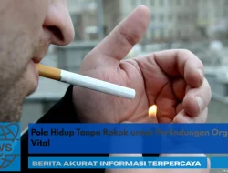 Pola Hidup Tanpa Rokok untuk Perlindungan Organ Vital