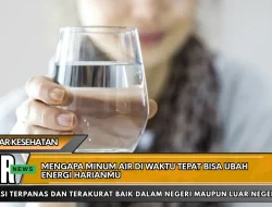 Mengapa Minum Air di Waktu Tepat Bisa Ubah Energi Harianmu