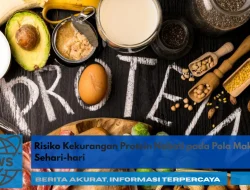Risiko Kekurangan Protein Nabati pada Pola Makan Sehari-hari