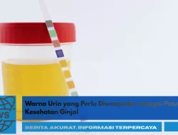 Warna Urin yang Perlu Diwaspadai sebagai Petunjuk Kesehatan Ginjal