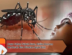 Daya Tahan Tubuh Kuat, Risiko Demam Berdarah Bisa Ditekan Sejak Dini
