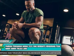Panduan Peregangan Harian 2026 yang Membantu Mengurangi Pegal Akibat Duduk Terlalu Lama