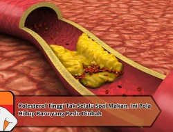 Kolesterol Tinggi Tak Selalu Soal Makan, Ini Pola Hidup Baru yang Perlu Diubah