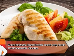 Menu Makanan Sehat Rendah Kalori yang Cocok untuk Penderita Obesitas