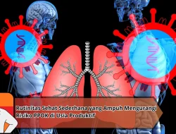 Rutinitas Sehat Sederhana yang Ampuh Mengurangi Risiko PPOK di Usia Produktif