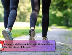 Alasan Ilmiah Manfaat Jalan Kaki 30 Menit Setiap Hari yang Jarang Diketahui