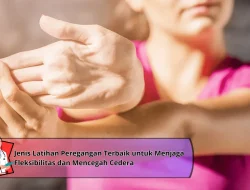 Jenis Latihan Peregangan Terbaik untuk Menjaga Fleksibilitas dan Mencegah Cedera