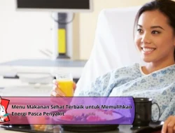 Menu Makanan Sehat Terbaik untuk Memulihkan Energi Pasca Penyakit