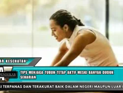 Tips menjaga tubuh tetap aktif meski banyak duduk seharian