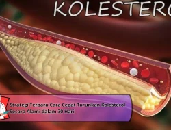 Strategi Terbaru Cara Cepat Turunkan Kolesterol Secara Alami dalam 30 Hari