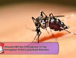 Waspada DBD dan Chikungunya! Ini Tips Pencegahan Terbaru yang Wajib Diketahui