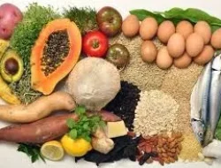 Menu Sehat Sederhana Yang Bisa Bikin Tubuh Lebih Kuat Setiap Hari