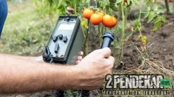 Daftar Makanan Sehat 2026 Untuk Warga Area Paparan Radioaktif