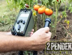 Daftar Makanan Sehat 2026 Untuk Warga Area Paparan Radioaktif