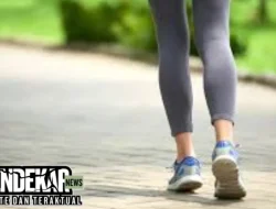 Kesehatan Jasmani dan Gaya Hidup Aktif: Kombinasi Sempurna untuk Tubuh Ideal