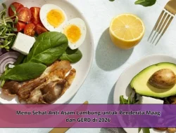 Menu Sehat Anti Asam Lambung untuk Penderita Maag dan GERD di 2026
