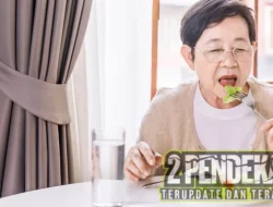 Rekomendasi Makanan Sehat untuk Lansia Supaya Tetap Aktif