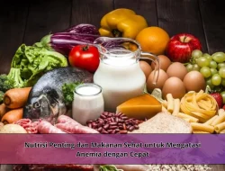 Nutrisi Penting dan Makanan Sehat untuk Mengatasi Anemia dengan Cepat
