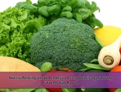 Nutrisi Penting untuk Penderita Osteoporosis agar Tulang Tidak Mudah Rapuh