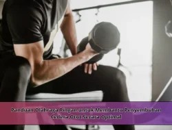 Panduan Olahraga Ringan untuk Membantu Penyembuhan Cedera Otot Secara Optimal
