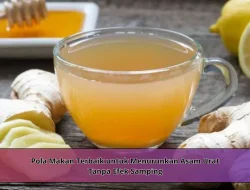 Pola Makan Terbaik untuk Menurunkan Asam Urat Tanpa Efek Samping