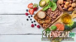 Pilihan Makanan Sehat untuk Gaya Hidup Aktif dan Produktif