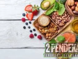 Pilihan Makanan Sehat untuk Gaya Hidup Aktif dan Produktif