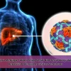 Cara Menjaga Tubuh Tetap Sehat dan Terlindungi dari Hepatitis B dengan Rutinitas Sederhana