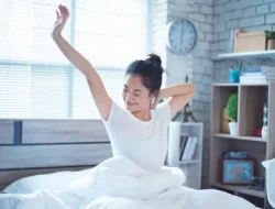 Tips Sehat Harian 2026 agar Tubuh Tetap Fit Meski Sering Begadang dan Lembur