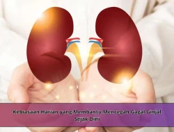 Kebiasaan Harian yang Membantu Mencegah Gagal Ginjal Sejak Dini
