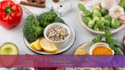 Panduan Diet Seimbang untuk Mengatasi Obesitas Secara Aman dan Alami