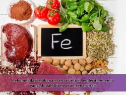 Rekomendasi Makanan Sehat untuk Penderita Anemia yang Mudah Ditemukan Sehari-Hari