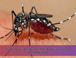 Strategi Praktis Anti Nyamuk Aedes Aegypti untuk Cegah Demam Berdarah