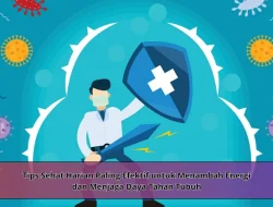 Tips Sehat Harian Paling Efektif untuk Menambah Energi dan Menjaga Daya Tahan Tubuh