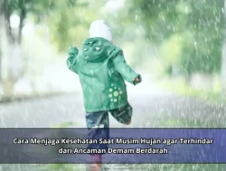 Cara Menjaga Kesehatan Saat Musim Hujan agar Terhindar dari Ancaman Demam Berdarah