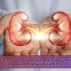Kebiasaan Sehat yang Mendukung Kinerja Ginjal dan Mengurangi Risiko Gagal Ginjal Kronis
