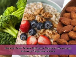 Makanan Sehat Terbaik 2026 untuk Membantu Mengurangi Kolesterol Tinggi Secara Alami